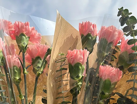 花开十里，恰如你——allbet股份祝各位女神节日快乐！